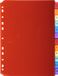 Exacompta 10x Tabbladen in Doorzichtige PP met neutrale tabs in etikettenhouder - 12 tabs - A4 - Geassorteerd - 3912E