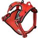 Dogs Creek Pathfinder rood XL