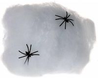 Merkloos / Sans marque Folat Bv Decoratie spinnenweb zakjes - 20 gram - Halloween/Horror - feestartikelen/versieringen