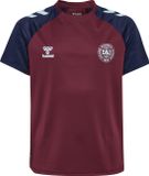 Hummel Dbu 26 Pro Tr Jersey S/S Kids