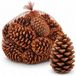 NaDeco Bastelnaturmaterial Maritima-Zapfen groß, 14–18 cm, 20 Stück Pinus pinaster