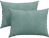 vidaXL - Zitkussens - 2 stuks - Zeegroen - 70 x 50 cm - Corduroy stof