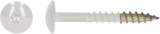 pgb-Europe PGB-FASTENERS HPL schroef Tx20 4,8x38 R9016 A4