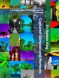 Captured Glimpses and Moments: A Collection of Photographs of Nothing