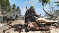 Ubisoft Assassin's Creed IV: Black Flag Standard Edition PlayStation 4