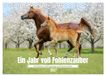 Ein Calvendo Ein Jahr voll Fohlenzauber (Tischkalender 2027 DIN A5 quer)