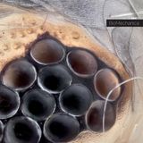 Bm-01 Biomechanica - BM-01 (LP)