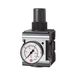 RIEGLER R 44-6 drukregelaar »multifix«