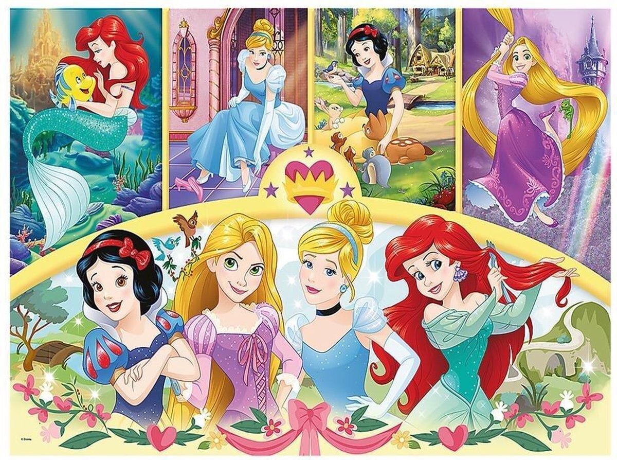 Trefl Puzzel Maxi Princess Magic Of Memo 24 St