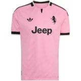 ADIDAS PERFORMANCE Juventus Turin 26/27 Authentic Tricot navy / oudroze