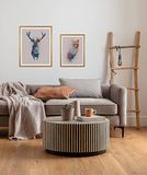 Komar - Animal Forest - 2 fotolijsten hout met 2 kunstposters 30 x 40 cm en 40 x 50 cm - dierenmotief