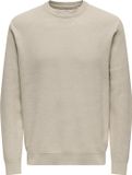 Only & Sons Onsmorgan 12 Structure Crew Knit Trui Heren Maat S Beige
