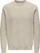 Only & Sons Onsmorgan 12 Structure Crew Knit Trui Heren Maat S Beige