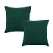 Evans Lichfield Malham Polyester Gevulde Kussens Twin Pack
