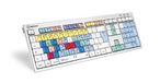 Logickeyboard LKB-CBASE-CWMU-UK Toetsenbord Kantoor USB QWERTY Brits Engels Meerkleurig