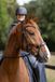 Horze Chio Hoofdstel, Black, Pony