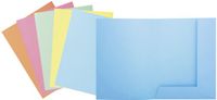 Exacompta SUPER 210 - Pak van 50 dossiermappen met 2 kleppen - 24x32cm - Lichtgroen