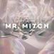 Parallel Mr. Mitch - Parallel Memories (LP)