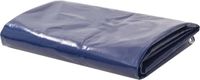 vidaXL - Zeil - Blauw - 5 x 6 m - Canvas met PVC-coating