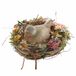 LOBERON Nest Bravilex bont
