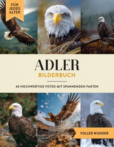 Adler Bilderbuch: 40 Bilder & Fakten | Adlerbuch als Geschenk für Kinder & Erwachsene