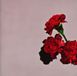 Sony Music John Legend Love In The Future
