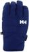 Helly Hansen Swift Ht Handschoenen Zwart XS Man