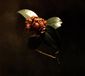 Sony Music St. Paul & The Broken Bones Young Sick Camellia