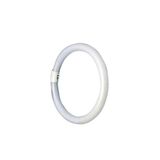 Glowster TL-buis, 22 W, hoge energie-efficiëntie, helder licht, ideaal voor de verlichting van commerciële en particuliere ruimtes.