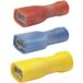 Klauke 8502V Fiche (femelle) Largeur d'insertion : 4.80 mm Épaisseur d'insertion : 0.50 mm 180 ° Partiellement isolé Jaune 1 pièce(s)