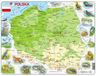 Larsen Układanka Polska Mapa fizyczna 61 elementów - Puzzle Pologne Carte physique 61 pièces