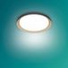 Philips Hue Philips Plafondverlichting, 10 W, Zwart, Koel wit licht, 4000 K