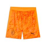 PUMA Sportbroek 'AC Milan 25/26' oranje / donkeroranje / zwart