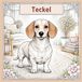 Dachshund / Teckel Vibes – Livre de coloriage pour tous les âges