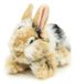 Uni-Toys - Leeuwenkop-konijntje met opgezette oren, liggend - zwart-bruin-wit gespannen - 23 cm (hoogte) - pluche haas - pluche dier, knuffeldier