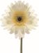 Leonardo Accessoires Gerbera - Blanc