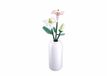 Sluban Flowers Lelies in Vaas bouwspeelgoed vanaf 12 jaar – Constructiespeelgoed modelbouw bloemen decoratie – bouwdoos met 247 bouwstenen – M38-B1101-07