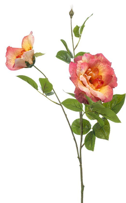 Merkloos Emerald Rose liza spray x3 peach 80 cm