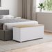 Vida Designs Arlington Ottomaanse opbergbank, 100 x 40 x 48 cm, dekendoos met liftdeksel en veiligheidsscharnieren, voor hal, slaapkamer, woonkamer, wit