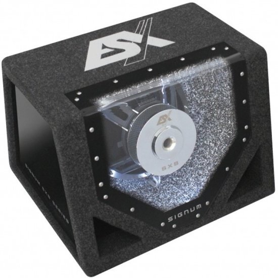 ESX Signum SXB 302 Subwoofer in behuizing