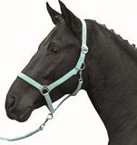 HKM Halster -Stars Economy Softice- zachtaqua Koudbloed paard