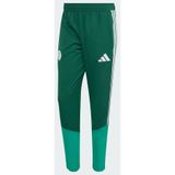 ADIDAS PERFORMANCE Sportbroek 'Algerien 26' smaragd / donkergroen / wit
