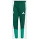 ADIDAS PERFORMANCE Sportbroek 'Algerien 26' smaragd / donkergroen / wit