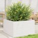 Maison Exclusive - Jardinière d'extérieur blanche, 80 x 80 x 46 cm, bois de pin massif