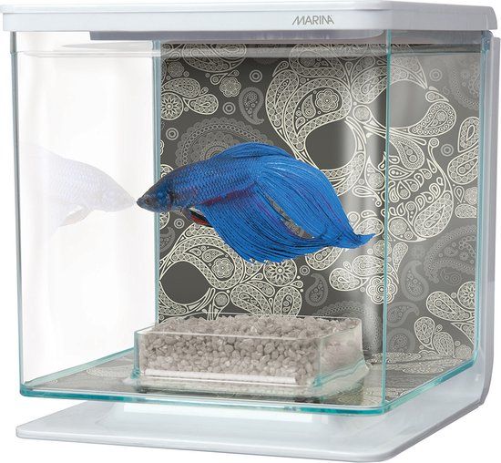 Marina 'Skull' Betta Aquarium Kit - 2L - 15x15x15cm