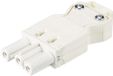 Wieland Electric Wieland GST18I3S B1CZR1 WS 3-polig female stekker met schroef - wit - per 50 stuks