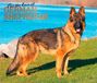 For the Love of German Shepherds 2027 14 X 24 Inch Monthly Deluxe Wall Calendar