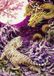 Broderie de diamants tigre et dragon 55x75 cm