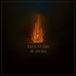 The Wailin' Storms - The Arsonist