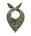 CODELLO Doek groen / wit